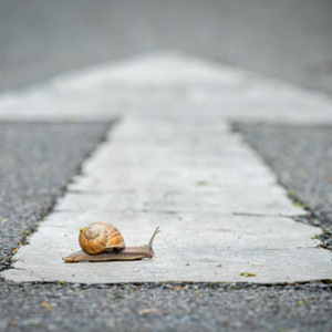 Slow