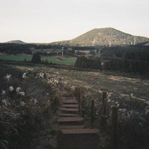 가여운 운명 (inst.)