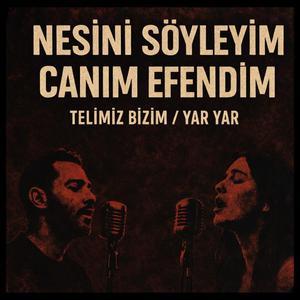 Nesini Soyleyim Canim Efendim
