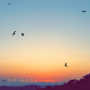 当飞鸟飞向远方飞（piano）
