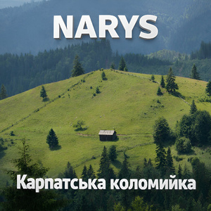 Карпатська коломийка