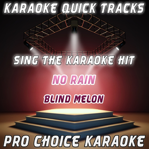 No Rain (Karaoke Version) (Originally Performed By Blind Melon)