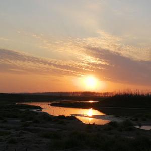 夏日小樽的八音盒