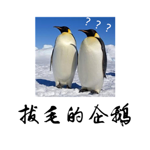 拔毛的企鹅