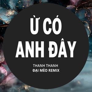 Ừ Có Anh Đây (Đại Mèo Remix)