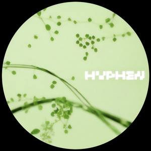 Explorations (Original Mix)