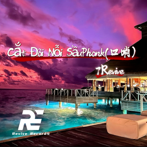 Cắt Đôi Nỗi SầuPhonk(口哨）