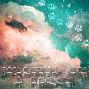 Walking on a Dream