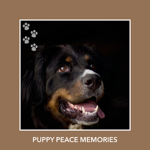 Upmost Dog Peace