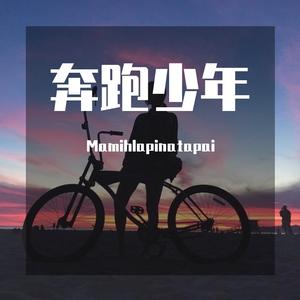 奔跑少年 - - 输出 - Stereo Out