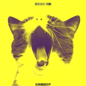 有趣放松的猫情怀