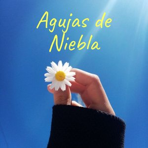 Agujas de Niebla