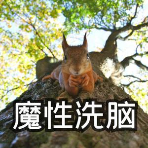 魔性洗脑 动感画面