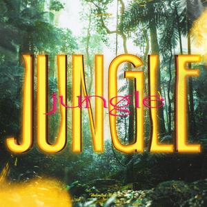 Jungle (Hardstyle)
