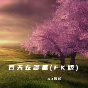 宝宝巴士-宝宝巴士 - 春天在哪里(DJ阿超Remix)（DJ阿超 remix）