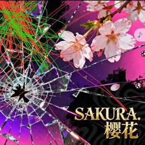 SAKURA.樱花