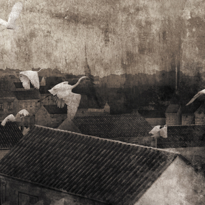 Myjava (kamaráti moji...)