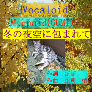 冬の夜空に包まれて