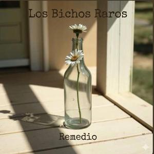 Remedio