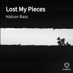 Lost My Pieces