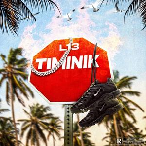 TIMINIK
