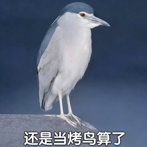 余生哥哥我想买包包DJ版