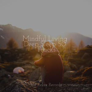 Echoes of Savage Beats