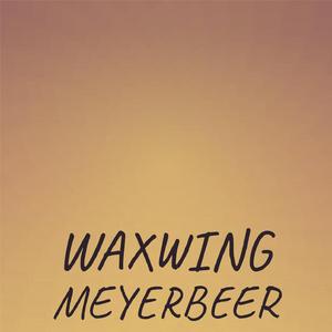 Waxwing Meyerbeer