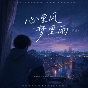 心里风梦里雨（改编）