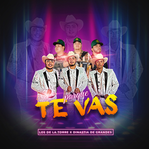 Porque Te Vas (En Vivo)