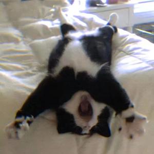 我般逍遥（《星汉灿烂·月升沧海》电视剧人物主题曲 cover李昀锐）