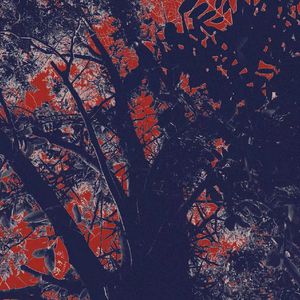 19年母胎solo单曲