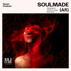 Spawn (Chris Cargo Remix)