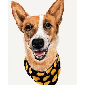 Can you tell me why (Extended Mix)