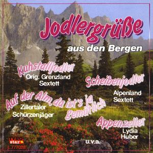 Wenn ich auf hohen Bergen steh'