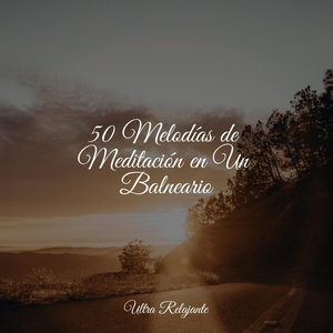 Mezcla De Arroyo Y Lluvia