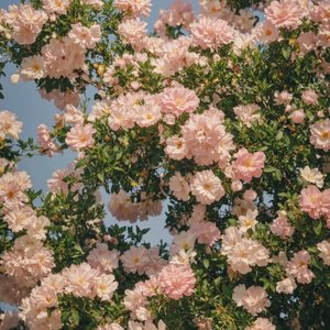 一切都是刚刚好