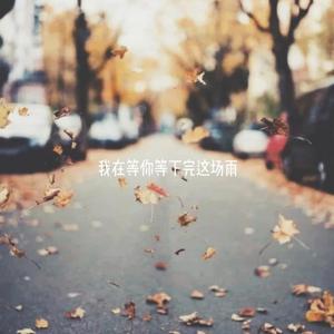 我在等你等下完这场雨