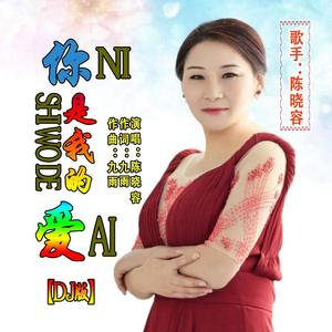 你是我的爱 (DJ版本)