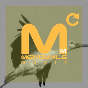 Push On Vinyl (Original Mix)