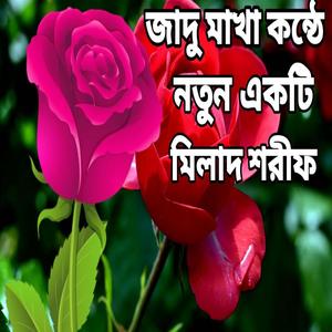 মায়াবী কন্ঠে খুব সুন্দর একটি মিলাদ শরীফ