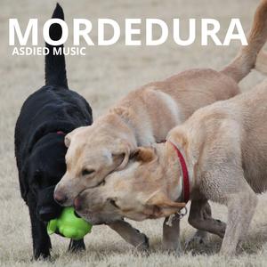Mordedura