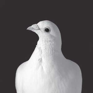 Sunbelt Regret (Wolfgang Lohr´s Sonnenwende Mix)