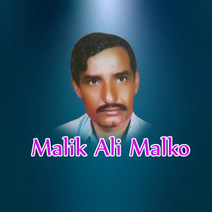 Sohna Haji Sher Deewan