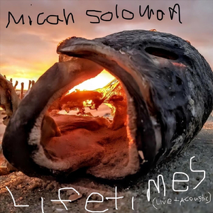 Lifetimes (Live Acoustic) [Demo]