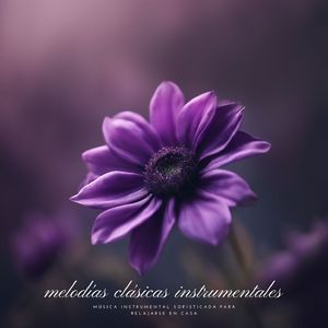 Veladas Apacibles