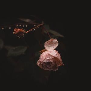 keep waiting for you(1)