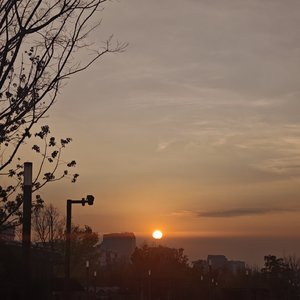 伤口是故事长出的年轮