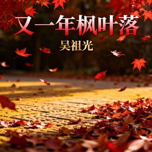 又一年枫叶落