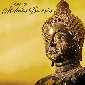 Vida de Equilibrio y Armonía